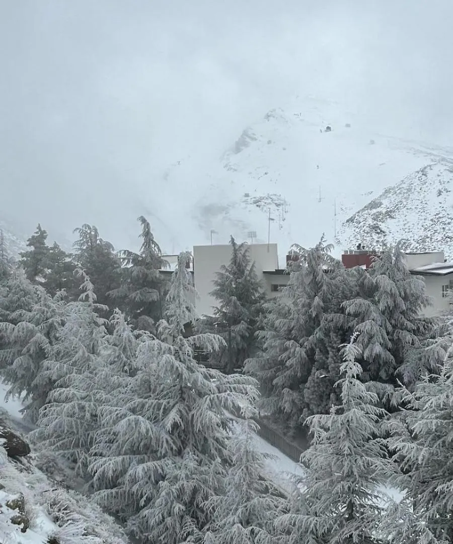 Apartamento Biznaga Nevada Granada